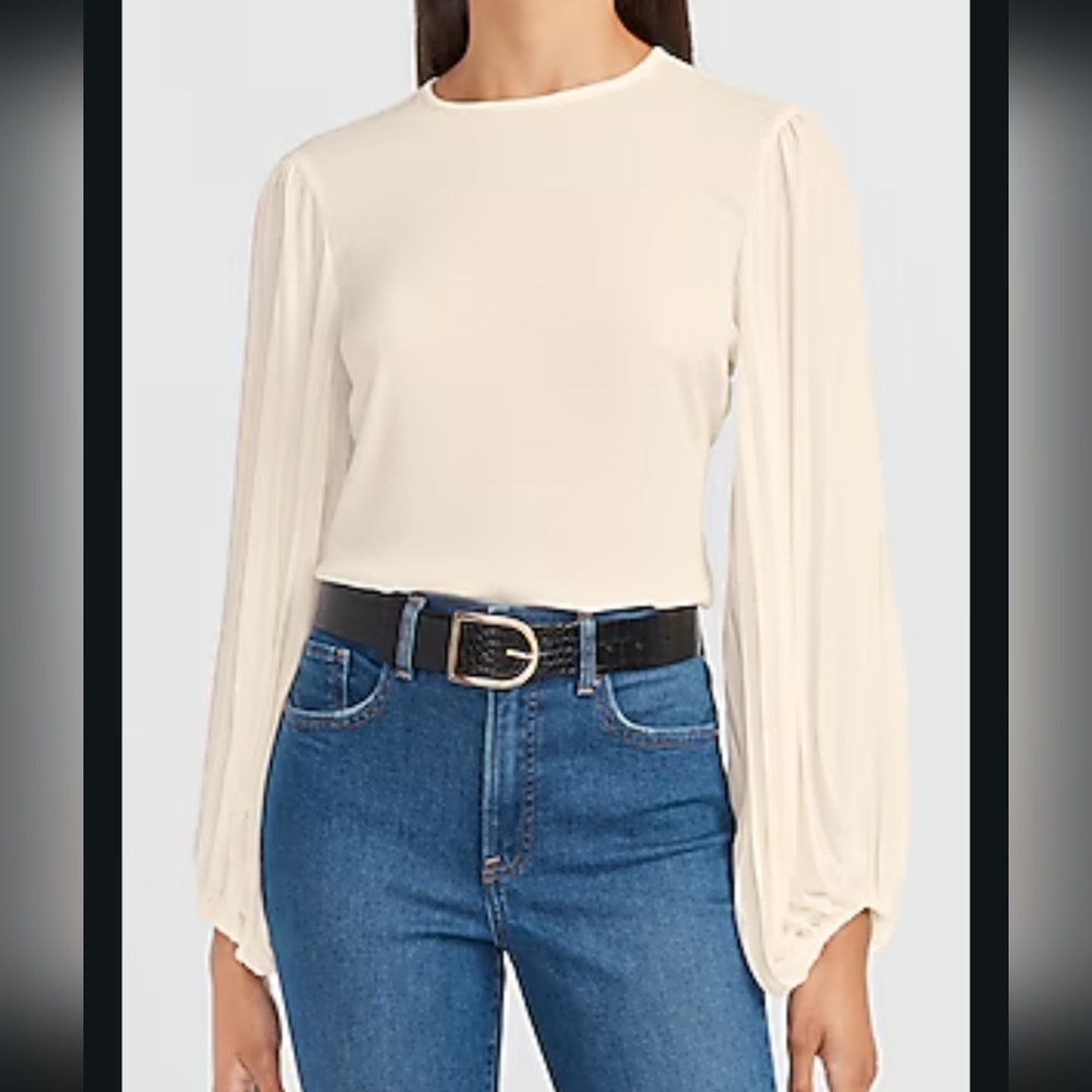 EXPRESS Pleated Balloon Sleeve Top